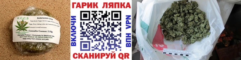 Купить  Луга  Canna-Cookies конопля 