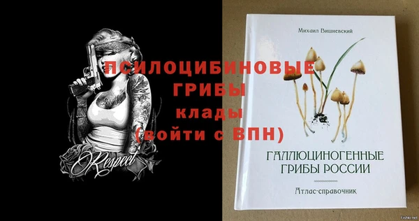 кокс Инта