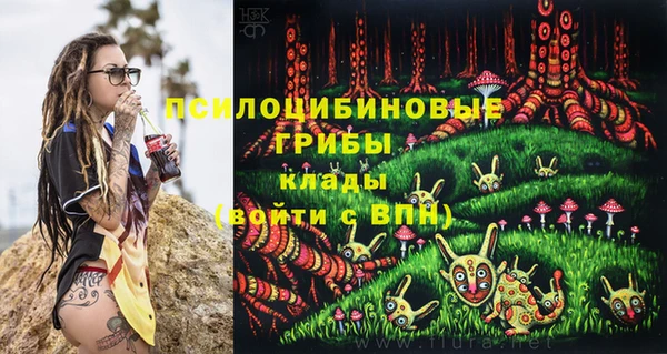 кокс Инта