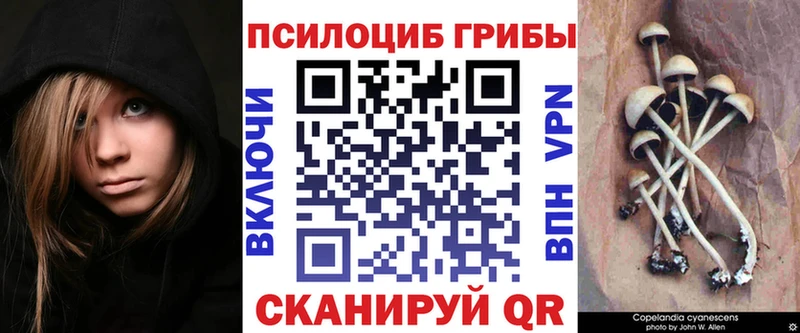 Купить  Луга  Галлюциногенные грибы прущие грибы 